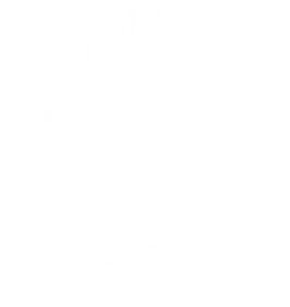 Terapia manualna